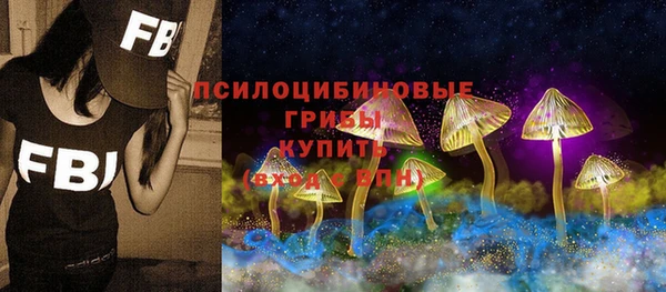 дурь Сосновоборск